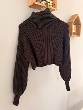 Urban Outfitters Cropped Ribbed Turtleneck Sweater - Dark Brown
